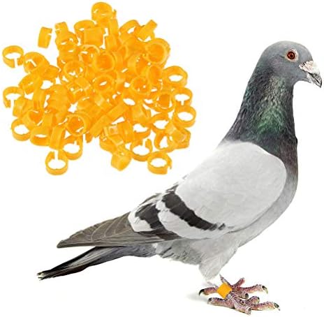 100 Adet Kuşlar Tanımlama Güvercinler Papağan Kuş Açılış Ayak Halkaları Kuş Malzemeleri (Rastgele Renk) - Kuş Ayak