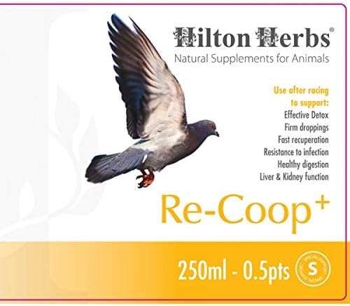 Hilton Herbs 27012 Re-Coop Plus-Güvercin Sonrası Yarış Kurtarma Şişesini Destekler, 0,5 Pint