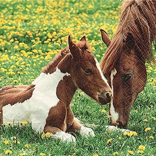 Çiftlik Evi Masa dekoru Kentucky Derby Partisi için At Dekoru Peçeteler, At ve Midilli Doğum Günü Partisi, Bebek Duşu, Ahır Düğün