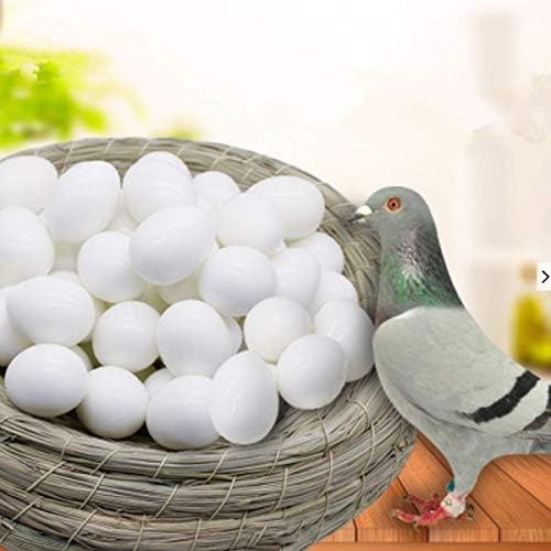 vctas Plastik Güvercin Yumurtaları (10'lu Paket) Katı Sahte Güvercin Yumurtaları Simülasyon Kuş Yumurtaları Yarış Güvercinleri