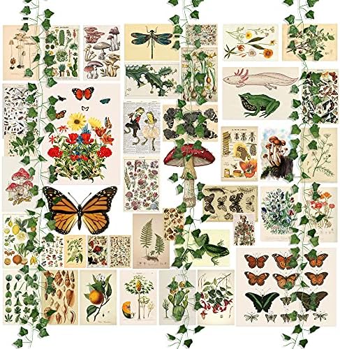 45 Adet Vintage Botanik Duvar kolajı Estetik Sahte Sarmaşıklar Küçük Poster Fotoğraf Yurdu Trendy Cottagecore Duvar Sanat Baskı