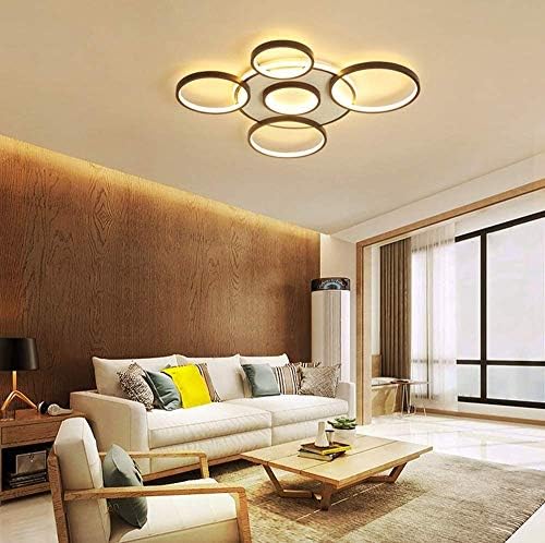 Kactera akrilik yaratıcı tavan ışık LED çip ile, Edison oturma odası lamba yatak odası mutfak ışık dekorasyon aydınlatma, metal