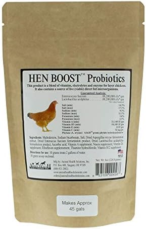 Hayvan Sağlığı Çözümleri-Hen Boost Probiyotikler, Tam Yetiştirilen Tavuklarda Bağışıklığı ve Hidrasyonu Artırmaya Yardımcı Olur