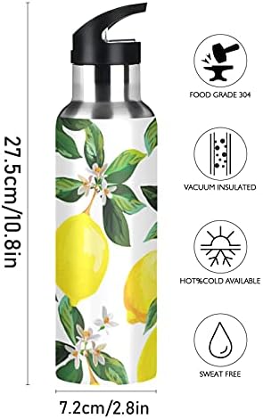 ALAZA 20 oz Paslanmaz Çelik Vakum Yalıtımlı Şişe, BPA Içermeyen, elle Çizilmiş Limon Tropikal Meyve Spor Su Şişesi için Kapalı